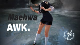 BDO  Maehwa PvP Montage 2024 [upl. by Carlo]