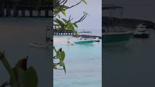 Amilla Maldives [upl. by Dud]