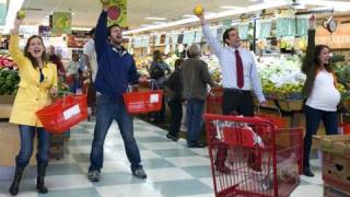 Grocery Store Musical  Musicals In Real Life Episode 2 [upl. by Tarrsus]