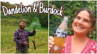 How To Harvest amp Make Dandelion amp Burdock  A Traditional Medieval Drink [upl. by Bolen]