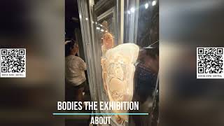 Bodies The Exhibition [upl. by Barling222]