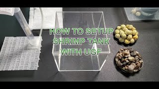 How to setup a shrimp tank with Undergravel Filter Box [upl. by Norrahc471]