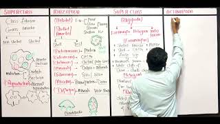 Lecture 7BMiller Harley Bsc Bs Zoology Super class Actinopoda [upl. by Corly]