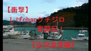 クチジロ 種子島 広田漁港編 [upl. by Elyr]