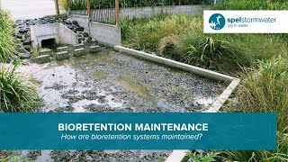 Maintaining a Bioretention System  SPELBio  SPEL Stormwater [upl. by Rorrys]