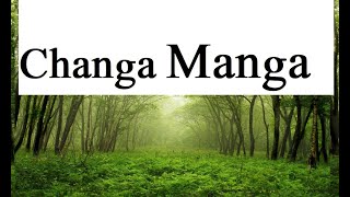 Changa Manga The Enchanting History of Asias Largest ManMade Forest  Hidden Facts Revealed [upl. by Reidar97]