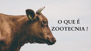 O que é ZOOTECNIA [upl. by Ateekram]