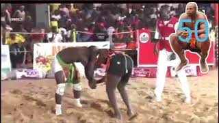 KOKUWA  SANNI ABOU VS IBRAHIM ABBA 2024 [upl. by Fisuoy882]