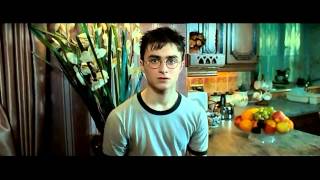 Parodie Harry Potter Harry a fait une connerie [upl. by Innavoj]