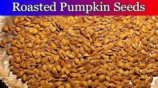 Homemade Pumpkin Puree and Roasted Pumpkin Seeds [upl. by Neiht685]