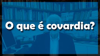 O que é covardia  Flávio Gikovate [upl. by Madge]