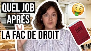 15 METIERS TRÈS BIEN PAYÉS APRÈS LA FAC DE DROIT [upl. by Lemcke615]