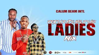 Ladies Dancehall Mix April 2023 Dexta Daps  450  Dyani  Slow Wine  Bedroom Mix Calum beam intl [upl. by Florio]