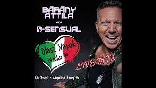 Bárány Attila Live Mix  Vár Bistro Várpalota 2024 10 04 [upl. by Yerroc]