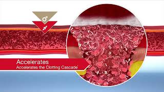 How QuikClots Kaolin Technology Works and accelerates the clotting process  wwwMyDentCartcom [upl. by Nickola]