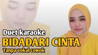 Bidadari cinta  Karaoke duet tanpa vokal cowok [upl. by Illib]