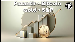 InDepth Analysis  Palantir Bitcoin Gold and the SampP 500 [upl. by Norean37]