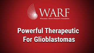 New Therapeutic for Glioblastoma the Most Lethal Form of Brain Cancer 2023 WARF Innovation Awards [upl. by Grega413]