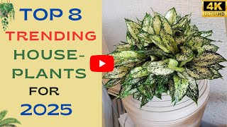 Top 8 Trending Houseplants for 2025  Best Indoor Plants for 2025 [upl. by Epoh817]