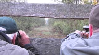 Hunting in Hungary  Wild Boar and Red Stag [upl. by Ytsirt]