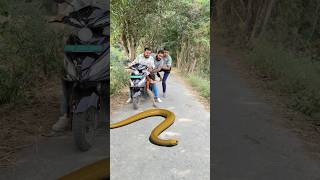 Naagin ka badla 😱🐍 shorts ytshorts viralvideos snake [upl. by Notsecnirp611]