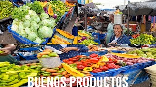 El mercado de Barahona full de productos comestibles [upl. by Eylhsa]