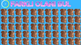 Hayvanlardan Farklı Olanı Bul  Kolaydan Zora [upl. by Abbot]