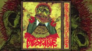 Mesrine  Unidentified FULL ALBUM 2007  Grindcore [upl. by Aoket]