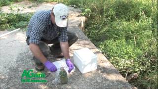 AGam in Kansas  Tom Stiles with KDHE discusses BlueGreen Algae in Kansas  March 23 2017 [upl. by Leaw224]