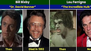 The Incredible Hulk 1977 Cast Then and Now 2024 [upl. by Ramas]