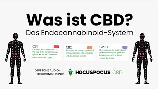 Was ist CBD Wozu CBD Erklärung vom EndocannabinoidSystem des Menschen amp CBD Öl Test [upl. by Onitnatsnoc]