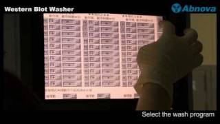 Western Blot Washer [upl. by Dry]