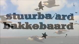 Stuurbaard Bakkebaard  Lied van de meeuwen 2001 [upl. by Wolfie]