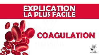 lexplication la plus facile  la Coagulation [upl. by Branham50]