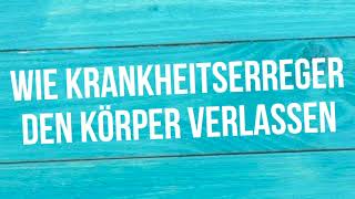 Wie Krankheitserreger den Körper verlassen [upl. by Lerraj355]