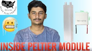 Teardown  Whats inside Peltier Module  Urdu Hindi amp English CC  DIY Thermoelectric Cooler [upl. by Ahsir389]