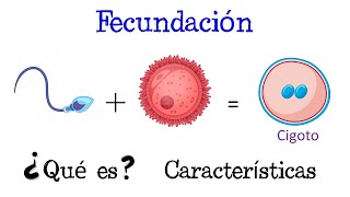 💥 ¿Qué es la Fecundación 💥 Fácil y Rápido  BIOLOGÍA [upl. by Ynney]