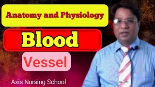 রক্তনালী Blood Vessel anatomy physiology [upl. by Airda492]