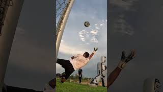 Torwarttraining Torverteidigung der ersten und zweiten Stange goalkeepertraining goalkeeper [upl. by Dranyl]