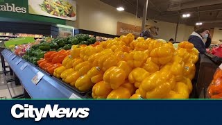 Why the grocery rebate wont help most Canadians with grocery costs [upl. by Eissat88]