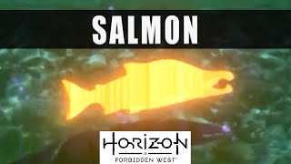 Horizon Forbidden West Salmon location  How to get Salmon bones [upl. by Nipha718]