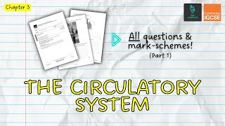 QUESTIONS A ANSWERS amp MARK SCHEMES  Circulatory System Ch 3  IGCSE PE exam revision [upl. by Enneicul]