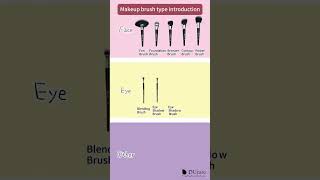 Makeup brushes guide ✨✨ [upl. by Nodnek822]