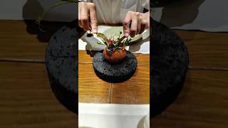 MICHELIN 2024 Thai Fine Dining [upl. by Aneehc]