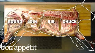 How To Butcher An Entire Cow Every Cut Of Meat Explained  Bon Appetit [upl. by Salena]