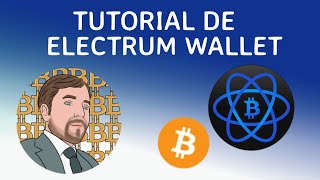 ELECTRUM WALLET Tutorial [upl. by Selinski]