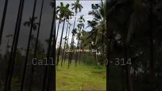 5 Acre Areca Nut Coconut Farm With Cow Farm For Sale Mudbidri Karnataka 7594944940 agrifarm [upl. by Riordan]