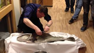 Live filleting of Skrei [upl. by Corine]