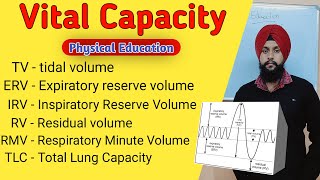 What is Vital Capacity VC  Tidal Volume Inspiratory Reserve Volume Expiratory Reserve Volume [upl. by Daphna304]