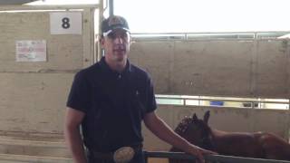 AllAccess Patrick Smith  BFI13  Horse Conditioning [upl. by Veriee143]